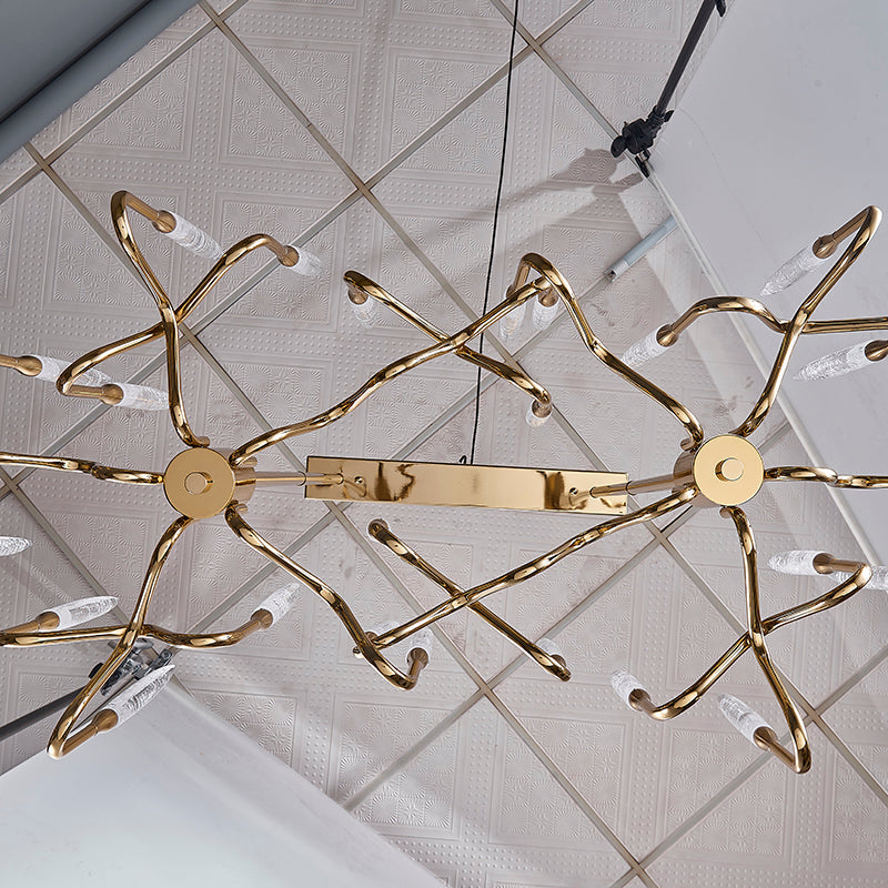 Brass Glass  chandelier Celling light